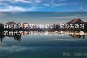 白虎图片完整体验记录：资源失效时的替代方案体验记录，白虎照片头像