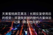 天美蜜桃麻花果冻｜长期反复使用后的感受：资源失效时的替代方案体验记录（稳定性观察）