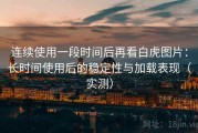 连续使用一段时间后再看白虎图片：长时间使用后的稳定性与加载表现（实测）
