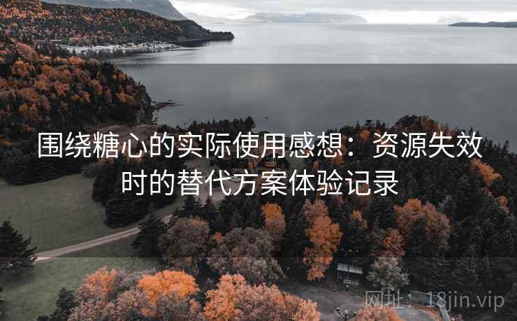围绕糖心的实际使用感想：资源失效时的替代方案体验记录