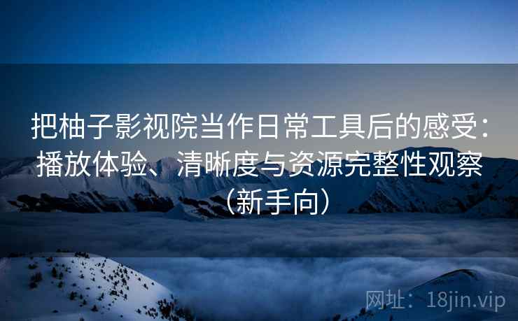 把柚子影视院当作日常工具后的感受：播放体验、清晰度与资源完整性观察（新手向）