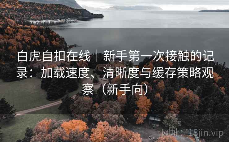 白虎自扣在线｜新手第一次接触的记录：加载速度、清晰度与缓存策略观察（新手向）