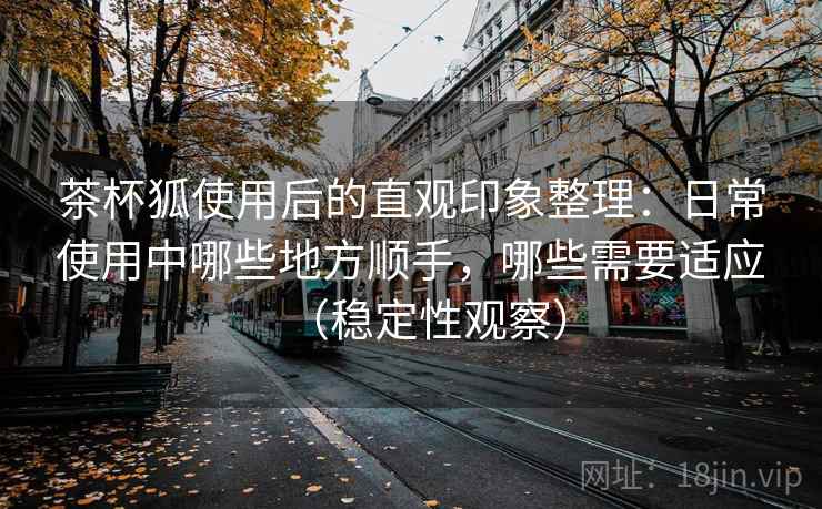 茶杯狐使用后的直观印象整理：日常使用中哪些地方顺手，哪些需要适应（稳定性观察）