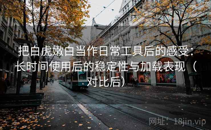 把白虎嫩白当作日常工具后的感受：长时间使用后的稳定性与加载表现（对比后）