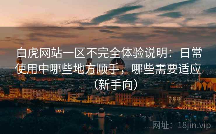 白虎网站一区不完全体验说明：日常使用中哪些地方顺手，哪些需要适应（新手向）
