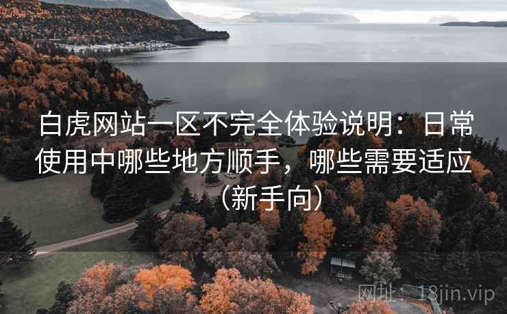 白虎网站一区不完全体验说明：日常使用中哪些地方顺手，哪些需要适应（新手向）