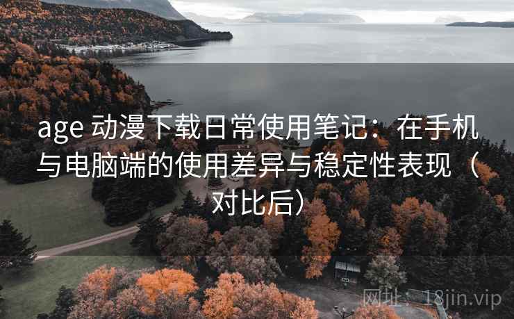 age 动漫下载日常使用笔记：在手机与电脑端的使用差异与稳定性表现（对比后）