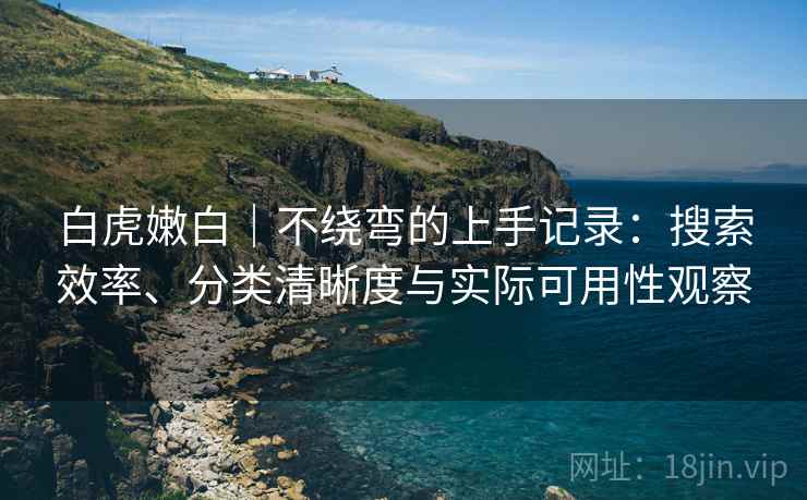 白虎嫩白｜不绕弯的上手记录：搜索效率、分类清晰度与实际可用性观察